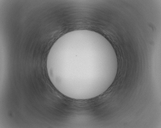 X0000113990768200910021010