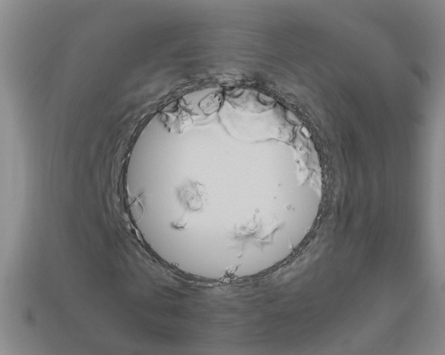 X0000113990769200910021009