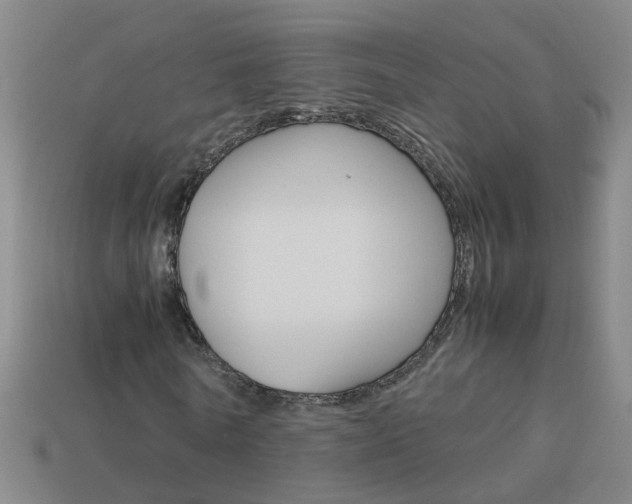 X0000113990770200910021009
