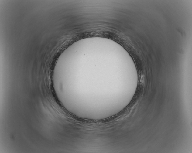 X0000113990771200910021009