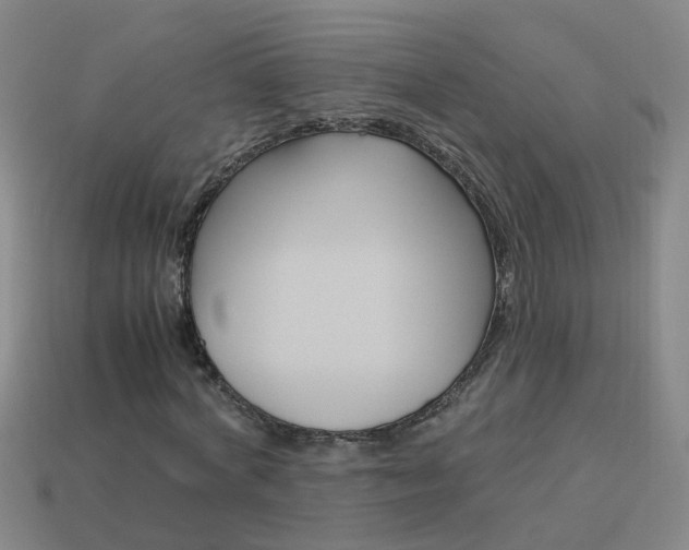 X0000113990772200910021009