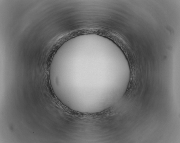 X0000113990773200910021009