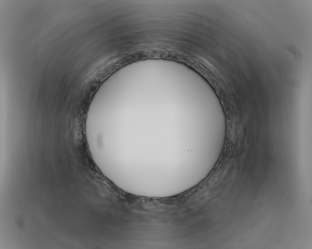 X0000113990774200910021009