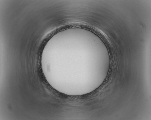 X0000113990775200910021009