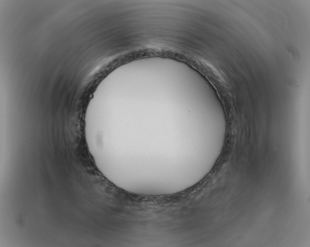 X0000113990776200910021009