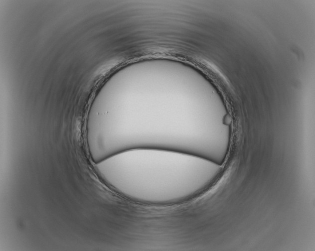 X0000113990777200910021009