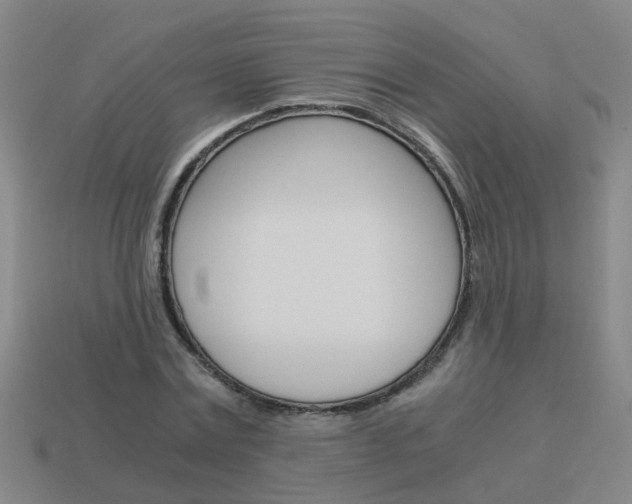 X0000113990779200910021009