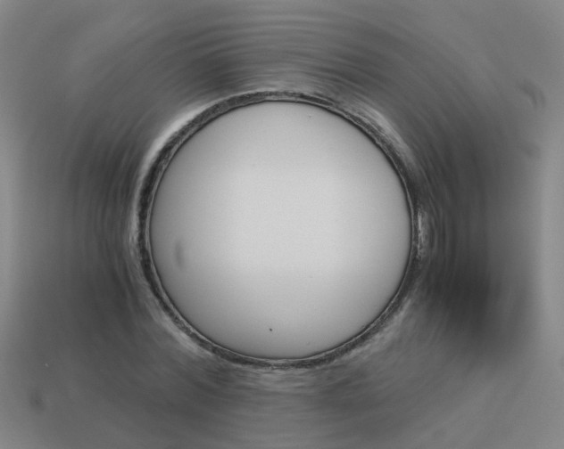 X0000113990780200910021009