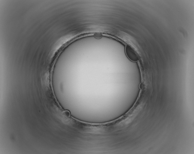X0000113990781200910021009