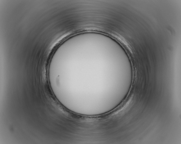 X0000113990782200910021009