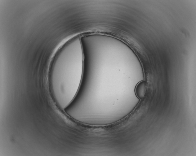 X0000113990784200910021009