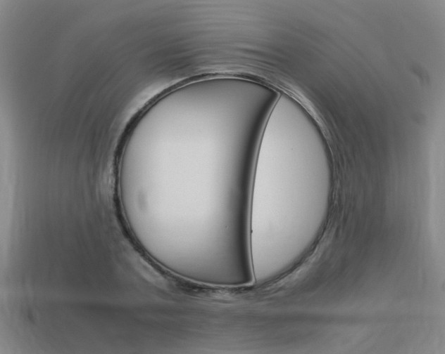X0000113990787200910021009