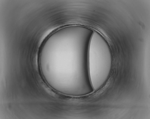 X0000113990788200910021009