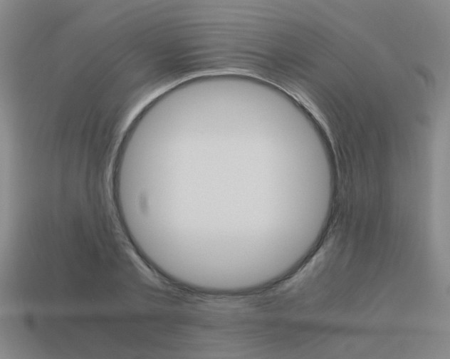 X0000113990789200910021009