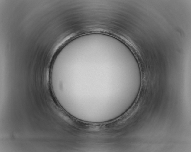 X0000113990790200910021009