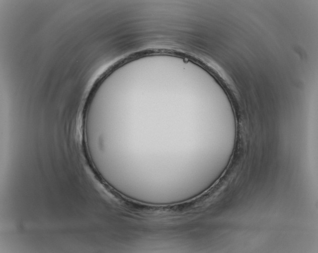 X0000113990791200910021009
