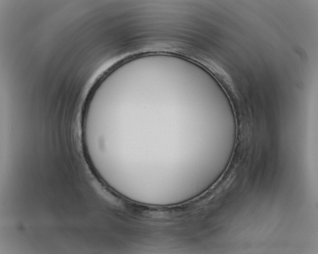 X0000113990792200910021009