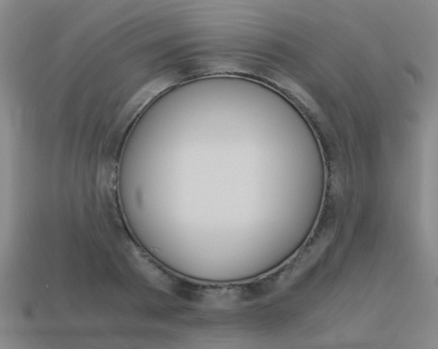 X0000113990793200910021009