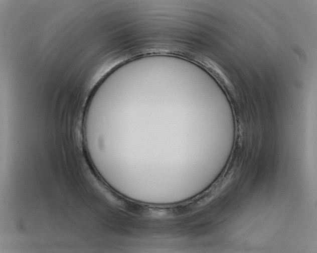X0000113990794200910021009