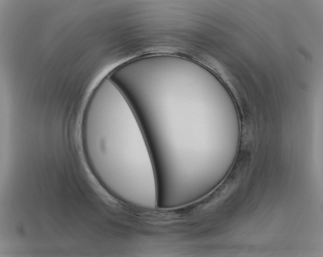 X0000113990795200910021009