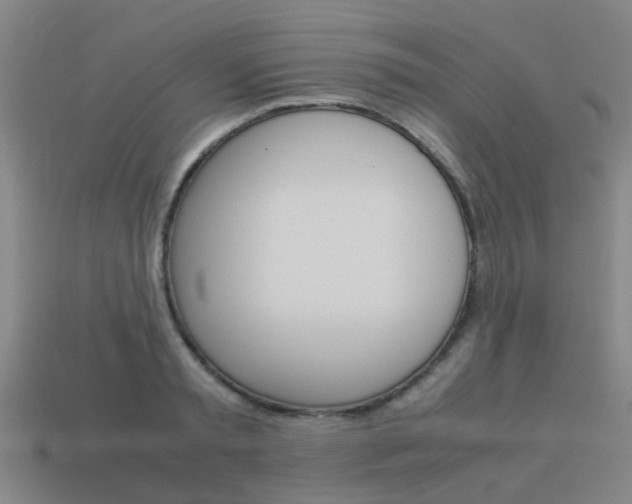 X0000113990797200910021009