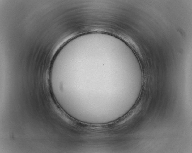 X0000113990798200910021009