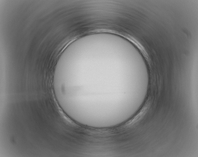 X0000113990801200910021009