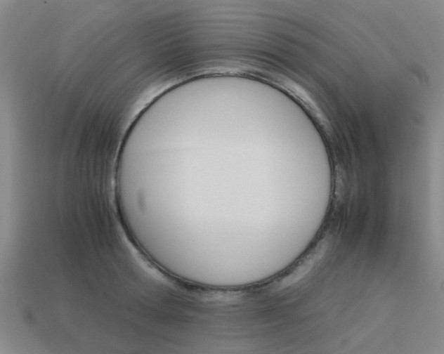 X0000113990802200910021009