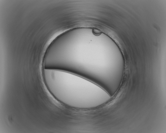 X0000113990803200910021009