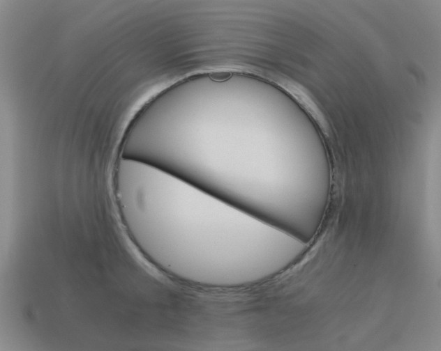 X0000113990805200910021009