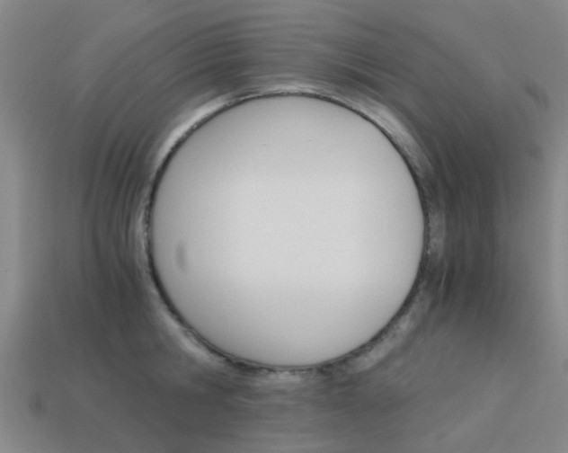 X0000113990806200910021009