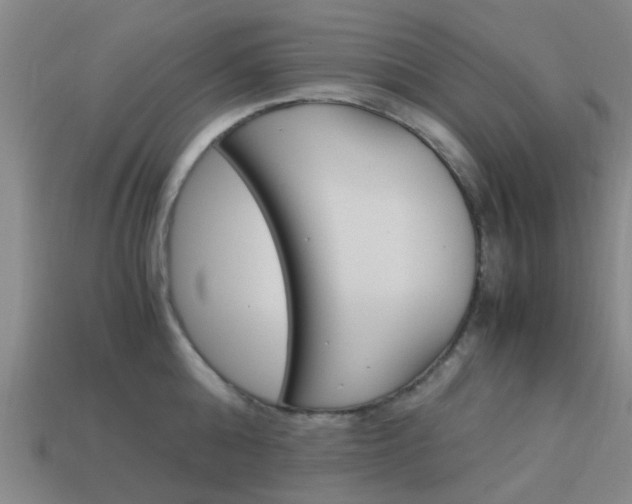 X0000113990808200910021009