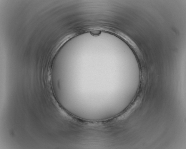 X0000113990809200910021009