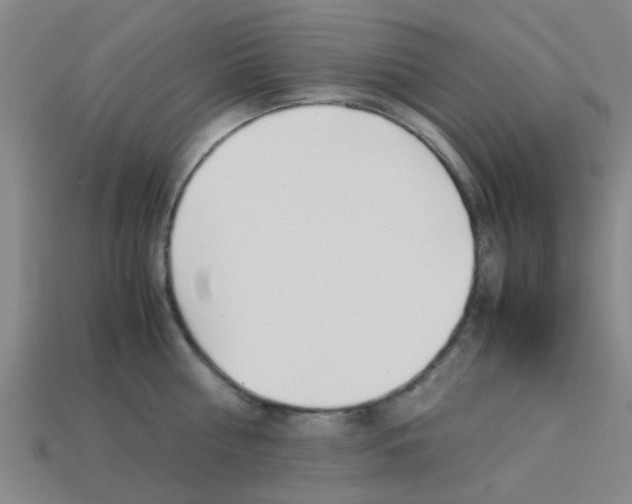 X0000113990810200910021009