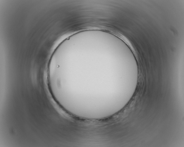X0000113990811200910021009