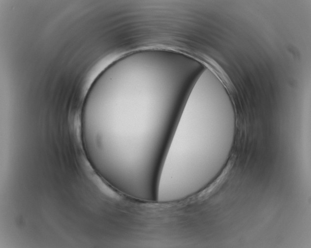 X0000113990812200910021009