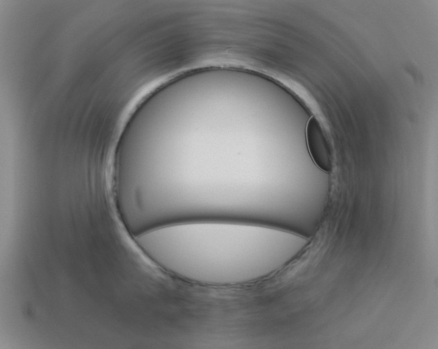 X0000113990815200910021009