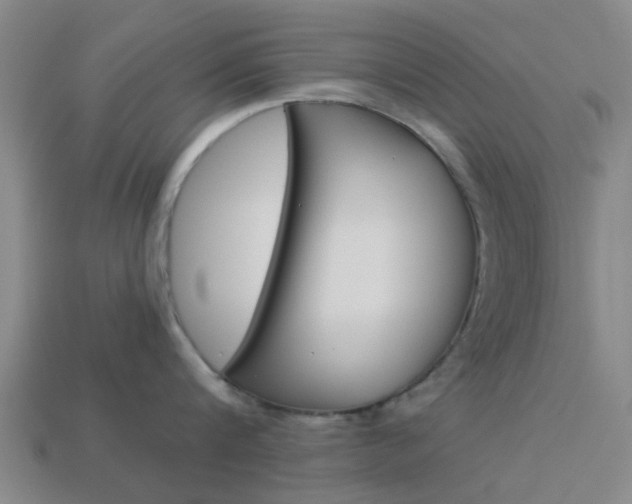 X0000113990816200910021009