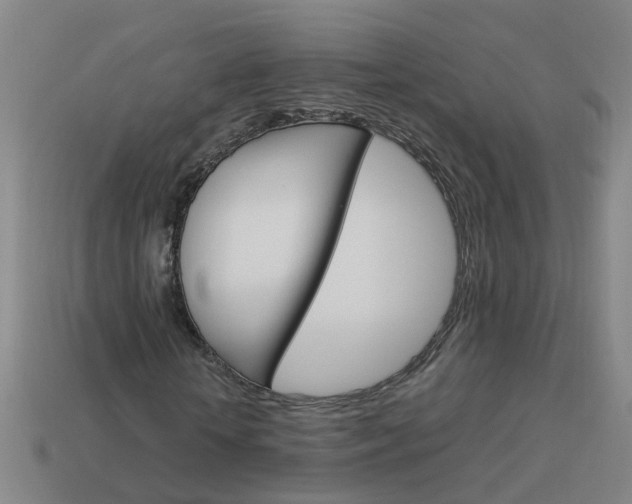 X0000113990818200910021008