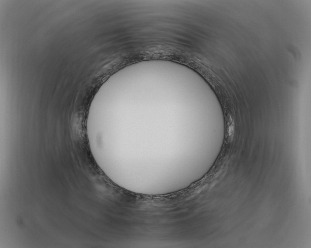 X0000113990819200910021008