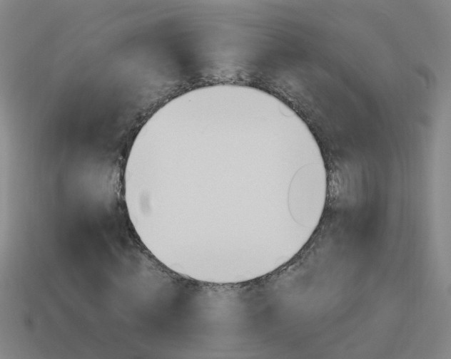 X0000113990820200910021008