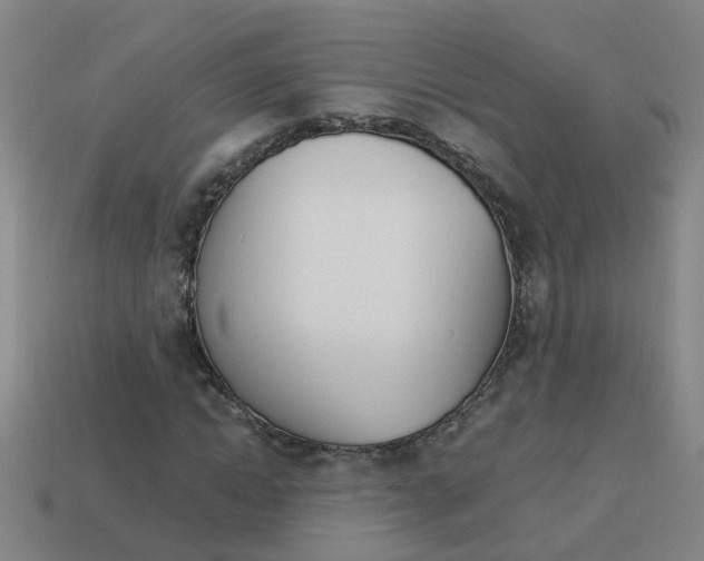 X0000113990822200910021008