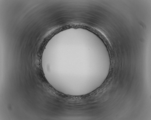X0000113990823200910021008