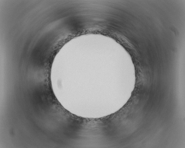 X0000113990824200910021008