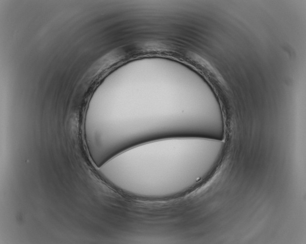 X0000113990825200910021008
