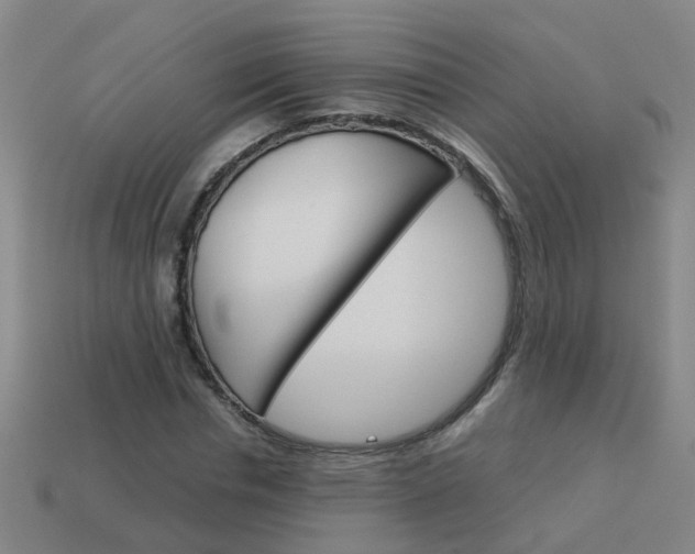 X0000113990826200910021008