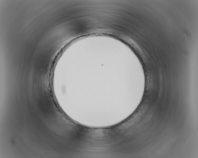 X0000113990828200910021008