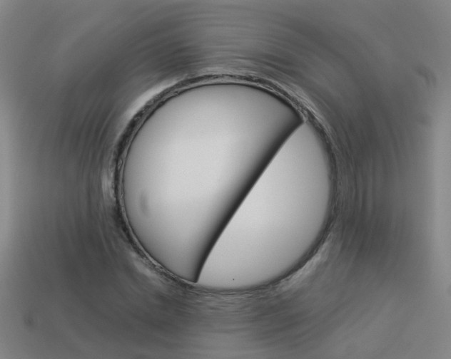 X0000113990830200910021008