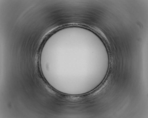 X0000113990831200910021008
