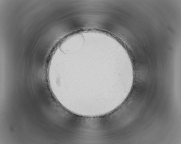 X0000113990832200910021008